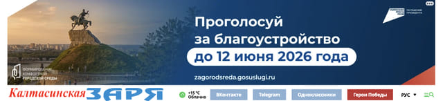 Последний баннер для kaltasy-zarya.ru