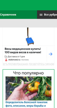 creative