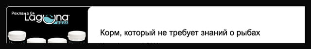 creative
