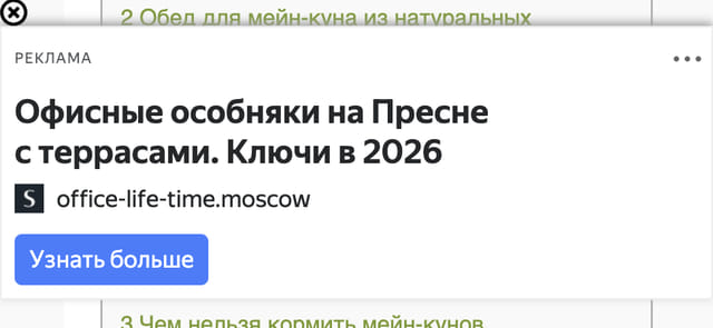Последний баннер для mirmainecoon.ru
