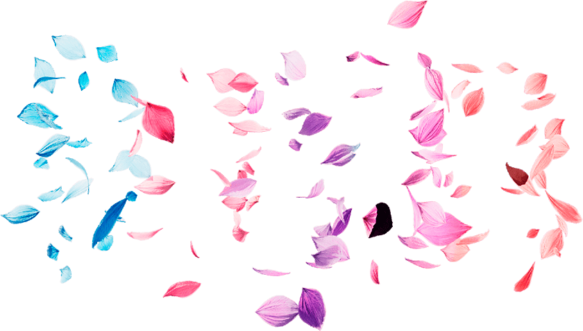 Asset preview