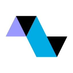 Asset preview