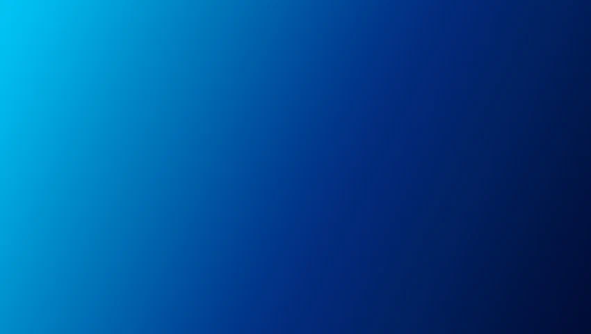 Asset preview