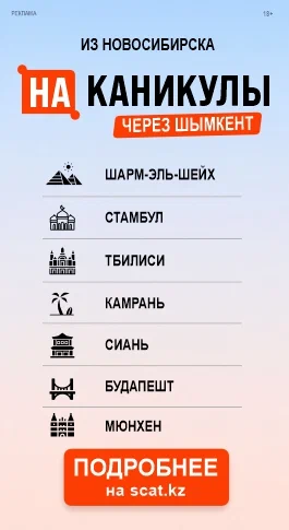 Asset preview