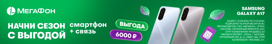 Asset preview